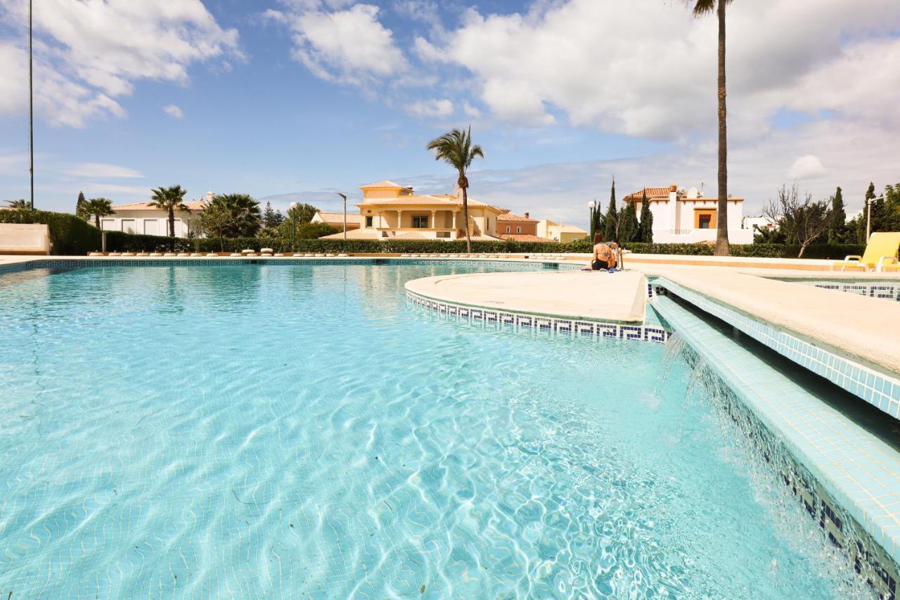 Palmeira Gale - - Pool - By Bedzy Appartement